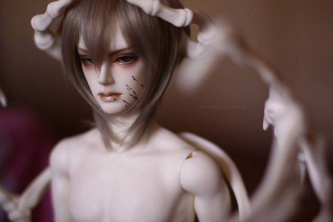 [​IMG]