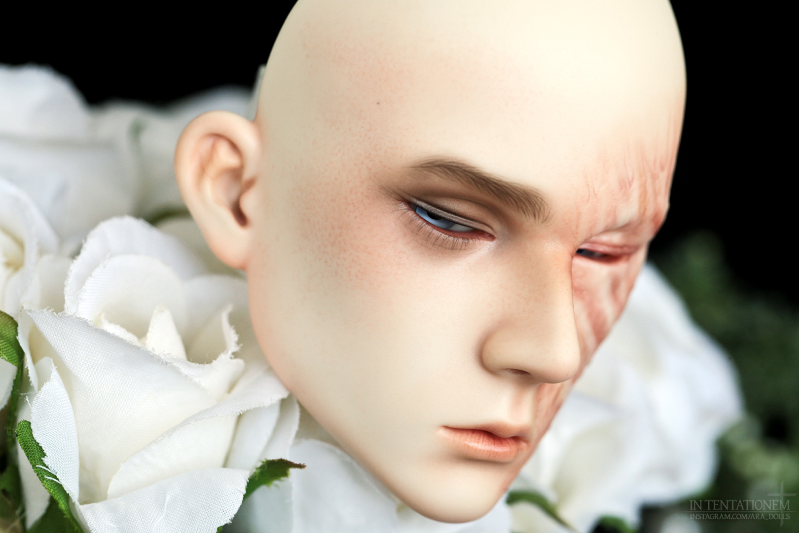 [​IMG]