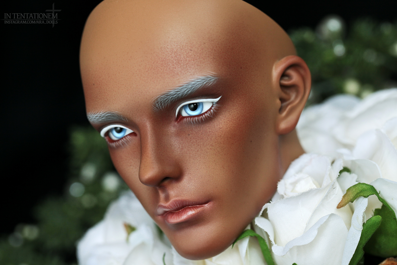 [​IMG]