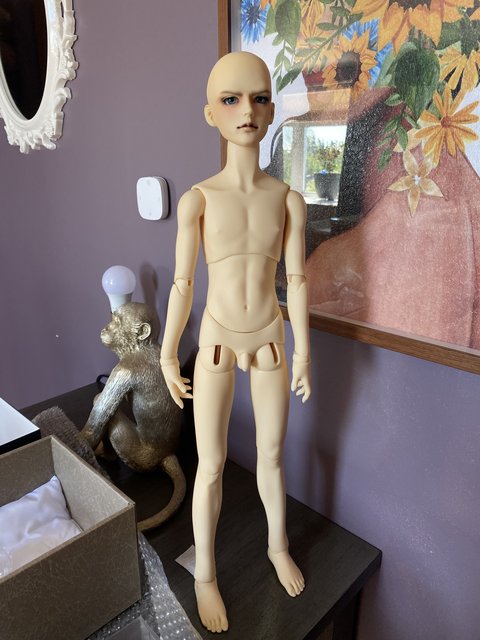 [​IMG]