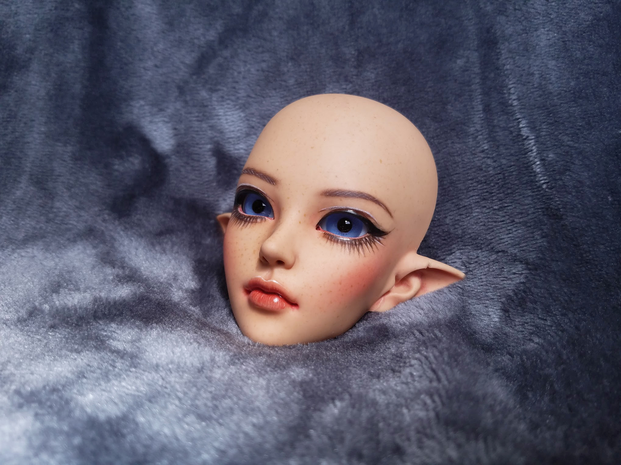 [​IMG]