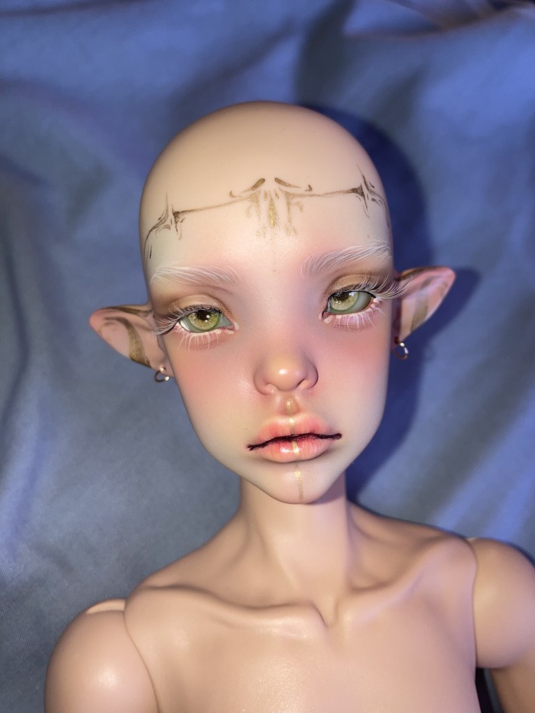 [​IMG]