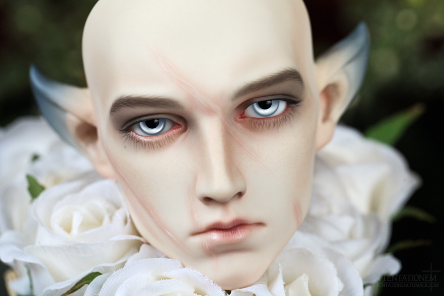 [​IMG]