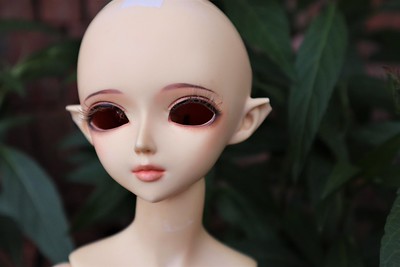 [​IMG]