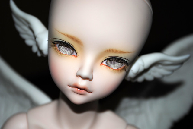 [​IMG]