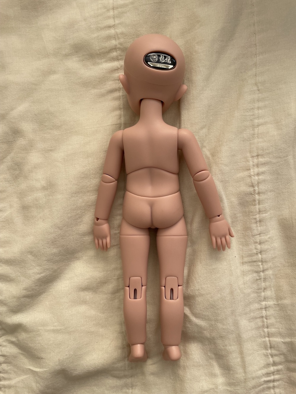 [​IMG]